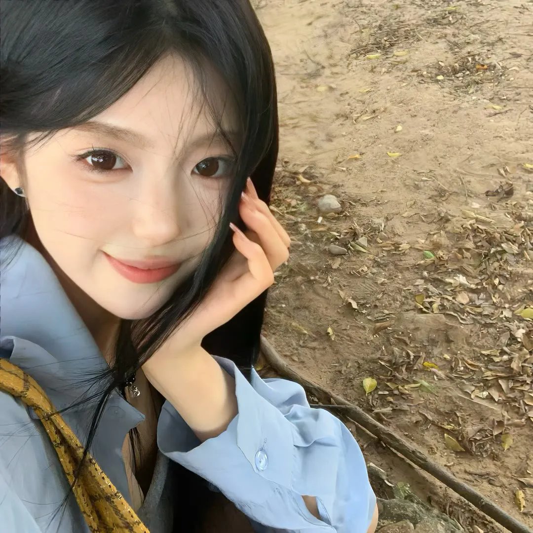 当哈维遇见鲍勃