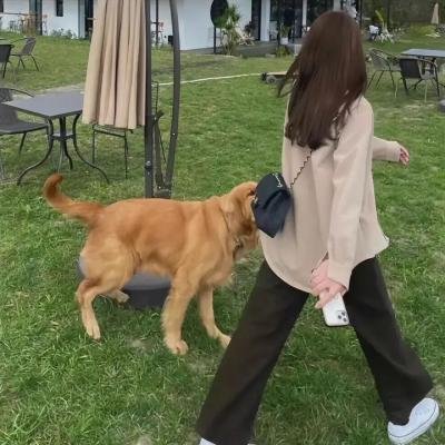 局中人第三季